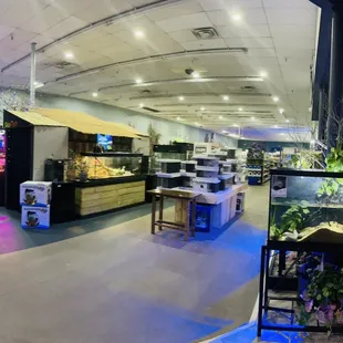 interior, sushi and sashimi