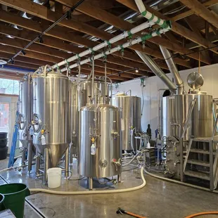 Brewed beer in action