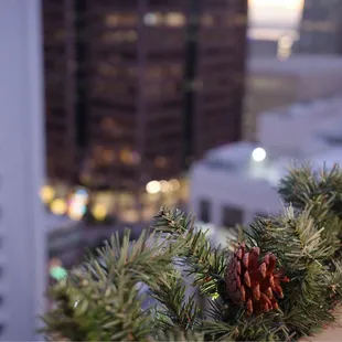 a pine cone on a window sill