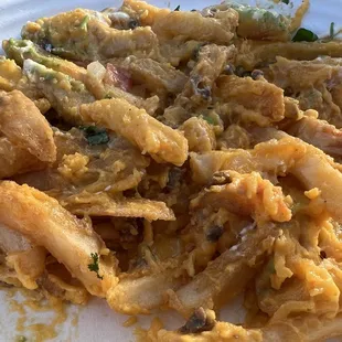 Cheese cheese cheese and some fries