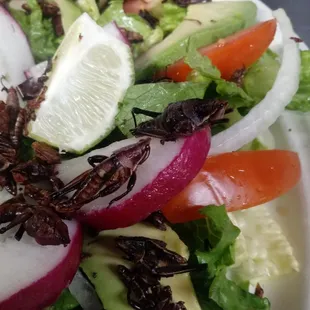 Ensalada de chapulines (grasshoppers salad)