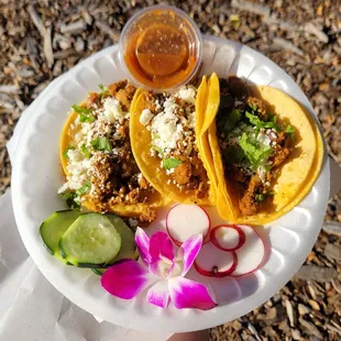 two tacos on a paper plate