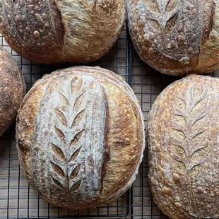 Freshly baked Artisanal Sourdough Country Loaves dropped by Slow Crumb Bakery every Wednesday and Saturday