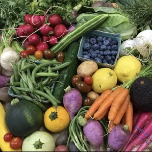 Seasonal bountiful beauty