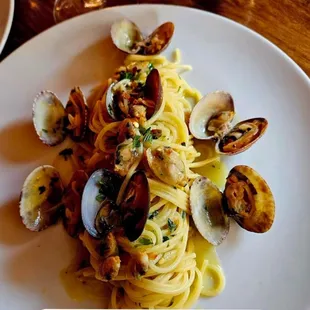food, pasta, pasta dish