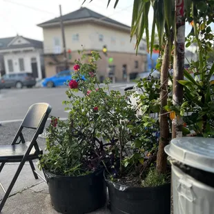 Sitting at Flora looking at Big Daddys