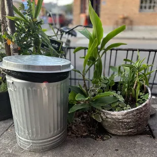 Sitting at Flora looking at Anna's Bar