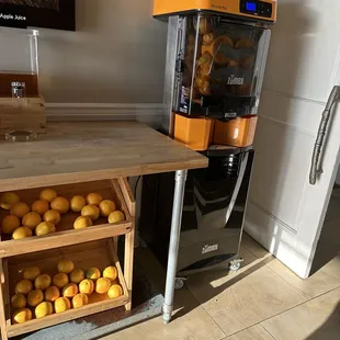 a juicer with oranges in it