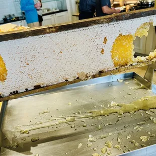 It does not get any fresher than this. You could smell the sweetness as you approached.