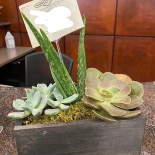 Delivered - total of $78.77 after delivery and fees