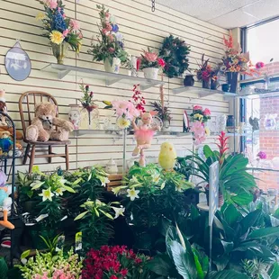 Plants and arranged bouquets