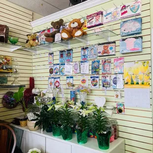 More plants, stuffed animals and balloons.