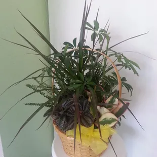 Mixed basket of plants can be transplanted. Someone will remember you sent it to them and recall it was you.