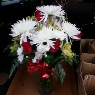 Spider mums so dramatic.