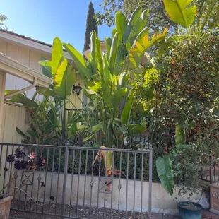 a fence and a house
