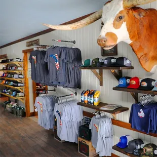 a bull head mounted on a wall