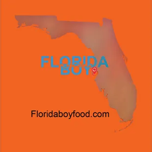 a map of the state of florida