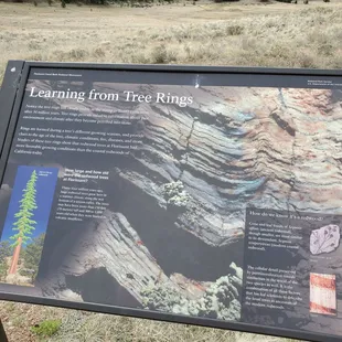 Info about tree rings