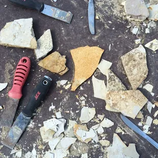 Getting busy finding fossils.