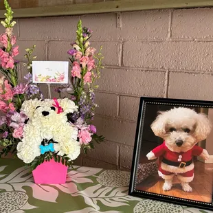 Doggie flower arrangement