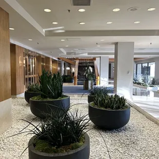 View from Flossies into the the lower level of the Omni Hotel