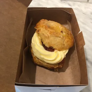 Jam and cream biscuit. Could not resist.