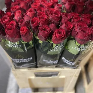 Of course who doesn't live a red rose.