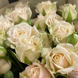 A favorite again is this beautiful Porcelina rose, direct from Holland