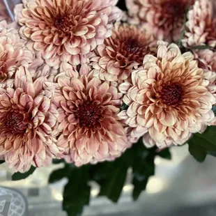 Who would of thought that a chrysanthemum would be so pretty.