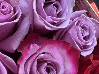 Juli's Flower Shop