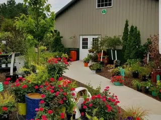 Harmony Nursery & Daylily Farm