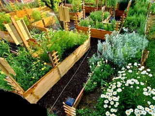 Bluebird Nursery & Gardenland Store