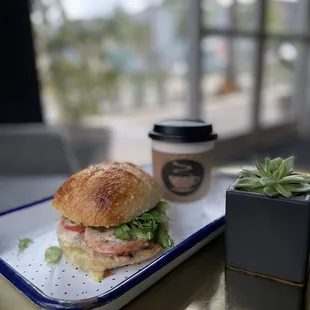 Grilled chicken sandwich with pesto sauce