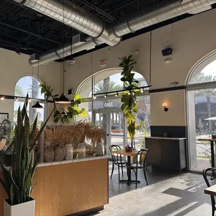 the interior of a flower shop