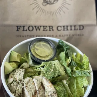 Avocado Caesar