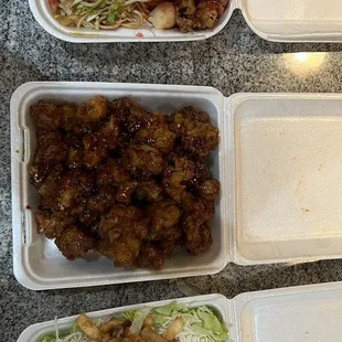 Combo plate - Pork Chow Mein, Pork Fried Rice, Sweet and Sour Pork; Orange Chicken; Chinese Chicken Salad