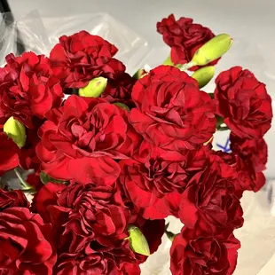 Bright &amp; fresh carnations.