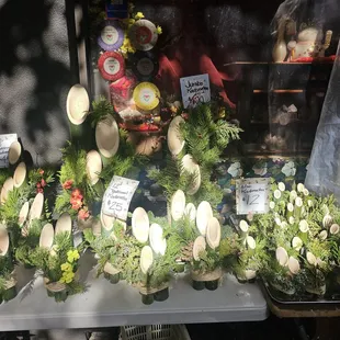 Fresh Kadomatsu Dec 30