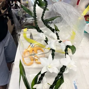 Ti lei with white flowers