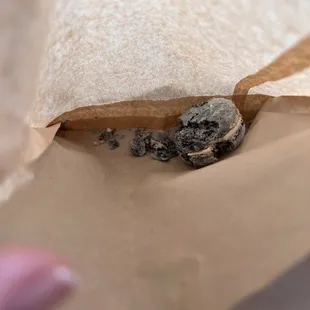 photo of my crunchy, crumbly earl gray macaron :(