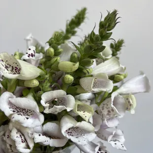 Flowers in the store