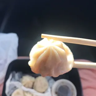 Xiao Long Bao Soup Dumplings