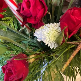 The petals are falling off when touched