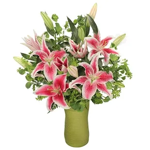 Take stargazing to a new level with these dazzling pink &apos;Stargazer&apos; lilies in a glass vase. Take their breath away with Fair as a lily!