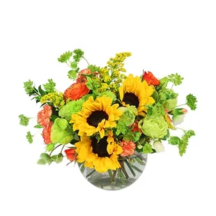 This bright design is sure to make anyone&apos;s day sunny! Order online today and send Supreme Sunflowers to someone you love!