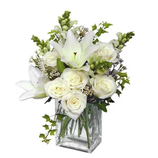 Say Thank You... I&apos;m Sorry... or Thinking of You... with A Wonderful White. Send one of these uplifting bouquets!