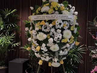 Volcano Orchids/The Funeral Wreath Shop