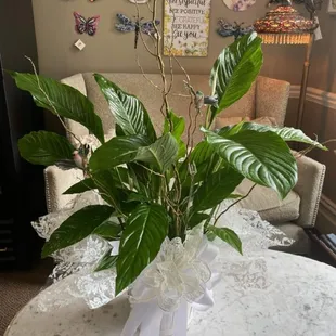 Just what I wanted.  See the two beautiful humming birds !!