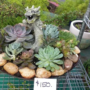 Pretty cool looking Dragon!