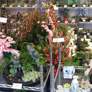 Pretty cool looking flower &amp; fern arrangements.